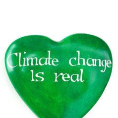 Soapstone Heart “Climate Change is Real”