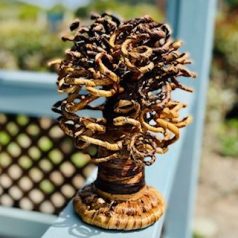 Sisal Baobab Tree